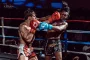SEIFU Vs PINTO0002